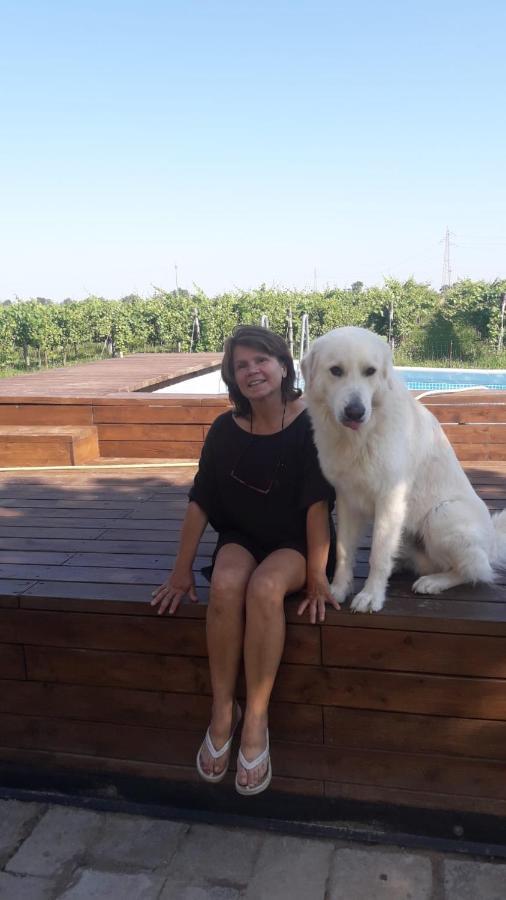 Tenuta Crescentini-Vallemura ,Appartamenti Con Entrata Indipendente San Donà di Piave Dış mekan fotoğraf
