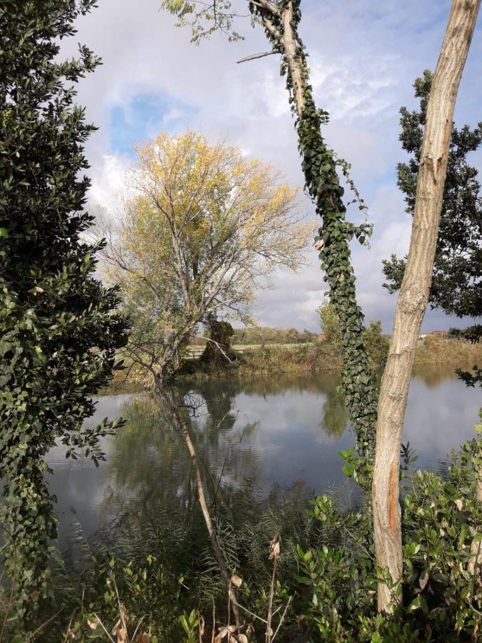 Tenuta Crescentini-Vallemura ,Appartamenti Con Entrata Indipendente San Donà di Piave Dış mekan fotoğraf