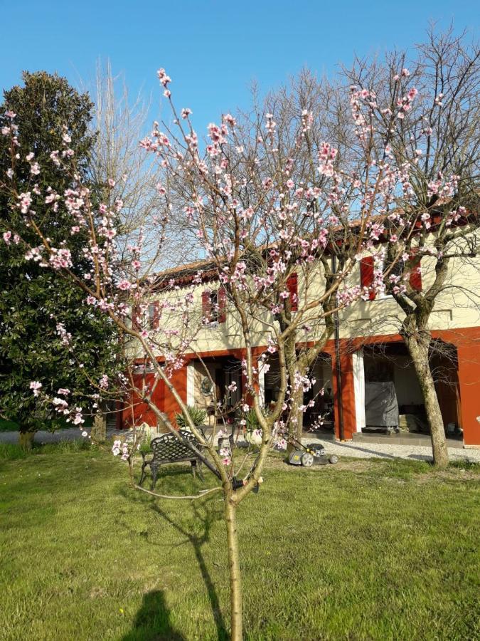 Tenuta Crescentini-Vallemura ,Appartamenti Con Entrata Indipendente San Donà di Piave Dış mekan fotoğraf