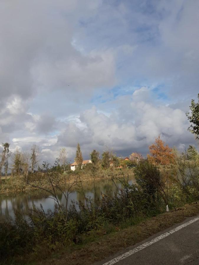 Tenuta Crescentini-Vallemura ,Appartamenti Con Entrata Indipendente San Donà di Piave Dış mekan fotoğraf