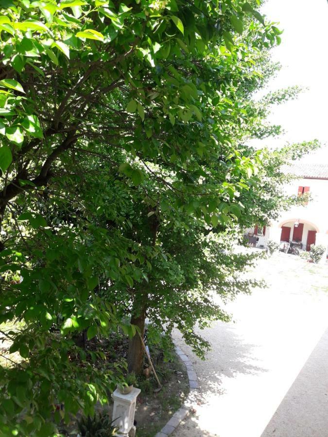 Tenuta Crescentini-Vallemura ,Appartamenti Con Entrata Indipendente San Donà di Piave Dış mekan fotoğraf
