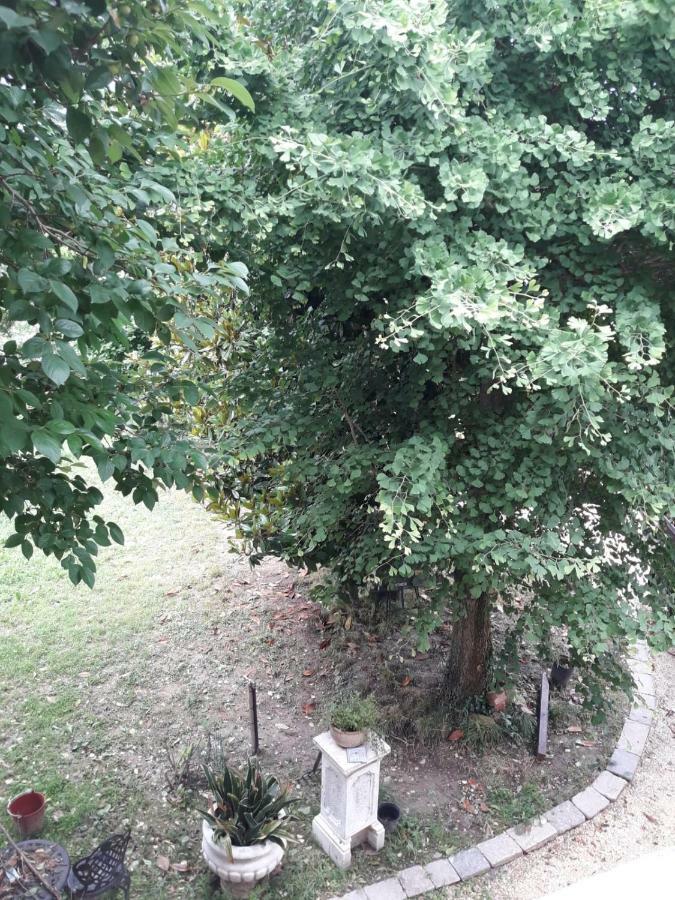 Tenuta Crescentini-Vallemura ,Appartamenti Con Entrata Indipendente San Donà di Piave Dış mekan fotoğraf