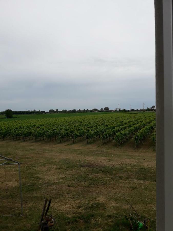Tenuta Crescentini-Vallemura ,Appartamenti Con Entrata Indipendente San Donà di Piave Dış mekan fotoğraf