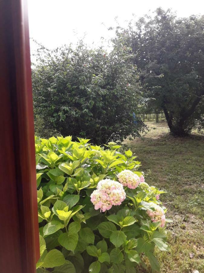 Tenuta Crescentini-Vallemura ,Appartamenti Con Entrata Indipendente San Donà di Piave Dış mekan fotoğraf