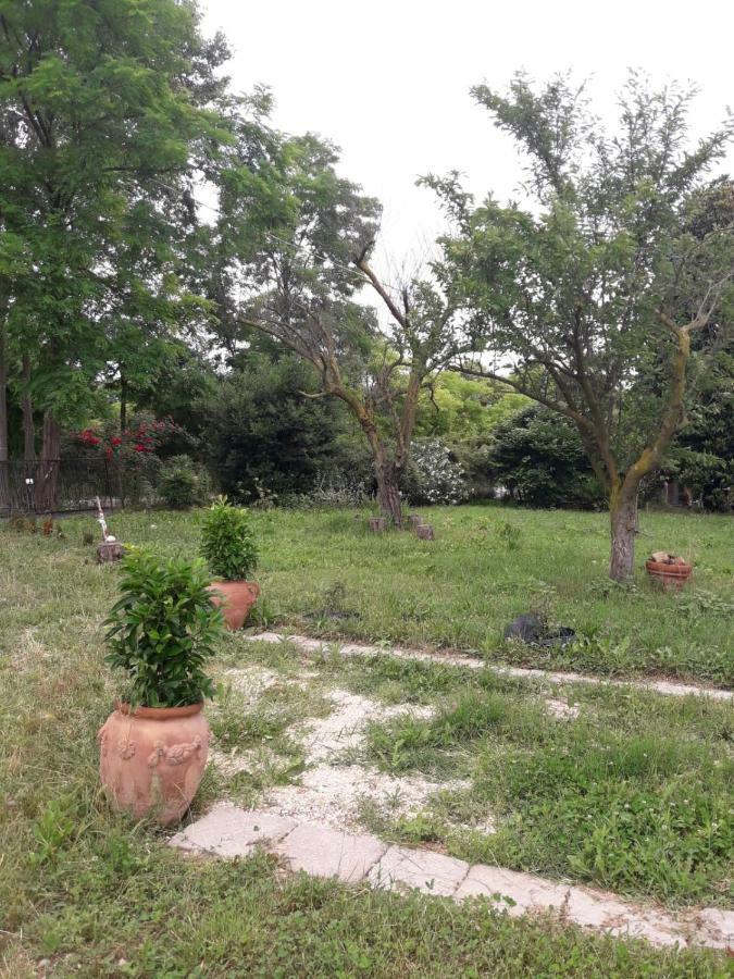 Tenuta Crescentini-Vallemura ,Appartamenti Con Entrata Indipendente San Donà di Piave Dış mekan fotoğraf