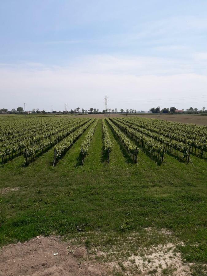 Tenuta Crescentini-Vallemura ,Appartamenti Con Entrata Indipendente San Donà di Piave Dış mekan fotoğraf