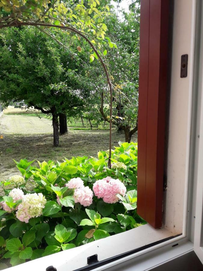 Tenuta Crescentini-Vallemura ,Appartamenti Con Entrata Indipendente San Donà di Piave Dış mekan fotoğraf