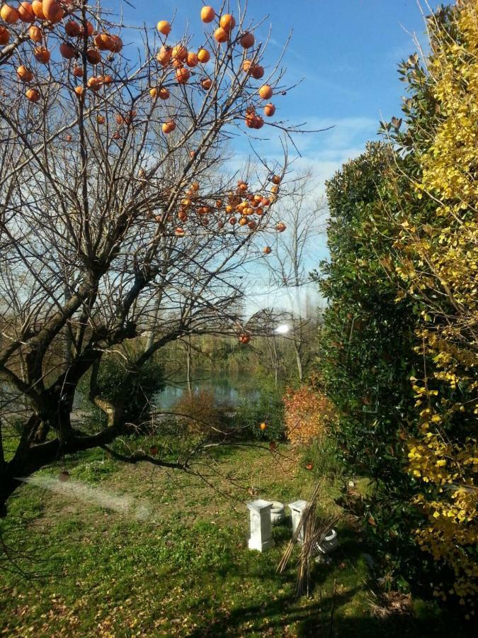 Tenuta Crescentini-Vallemura ,Appartamenti Con Entrata Indipendente San Donà di Piave Dış mekan fotoğraf