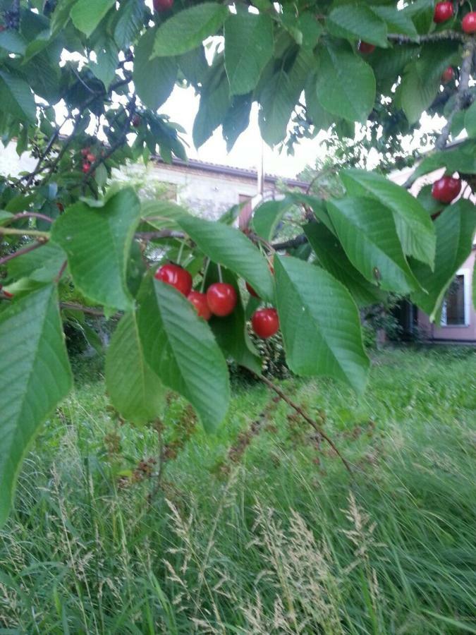 Tenuta Crescentini-Vallemura ,Appartamenti Con Entrata Indipendente San Donà di Piave Dış mekan fotoğraf