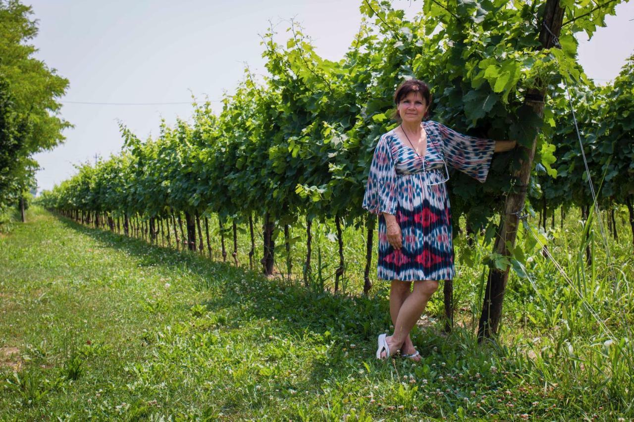 Tenuta Crescentini-Vallemura ,Appartamenti Con Entrata Indipendente San Donà di Piave Dış mekan fotoğraf